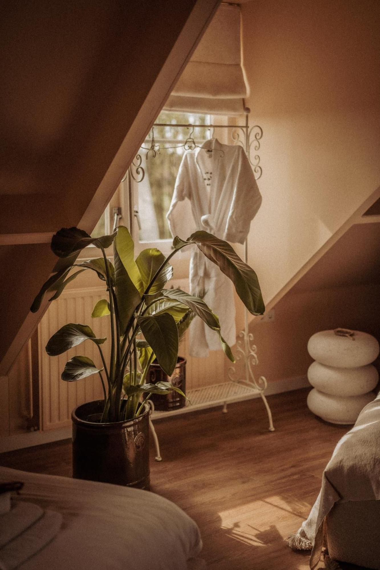 Maison Bellefleur B&B - Pension เรอเนสเซอ ภายนอก รูปภาพ